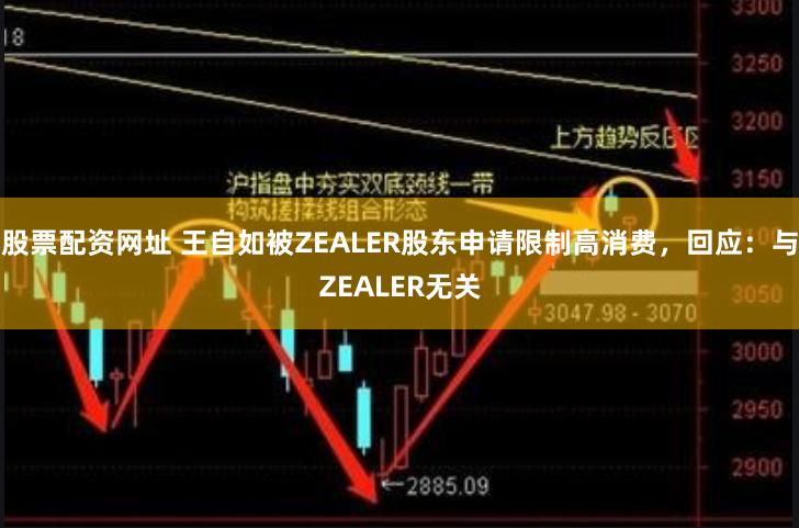 股票配资网址 王自如被ZEALER股东申请限制高消费，回应：与ZEALER无关