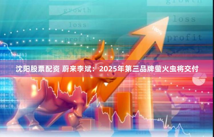 沈阳股票配资 蔚来李斌：2025年第三品牌萤火虫将交付