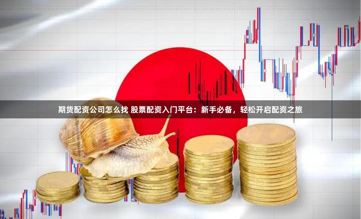 期货配资公司怎么找 股票配资入门平台：新手必备，轻松开启配资之旅
