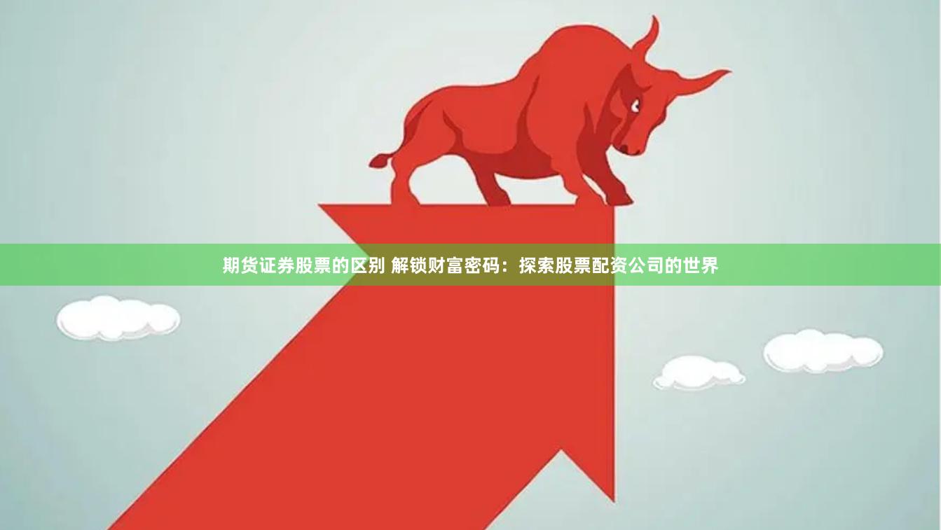 期货证券股票的区别 解锁财富密码：探索股票配资公司的世界